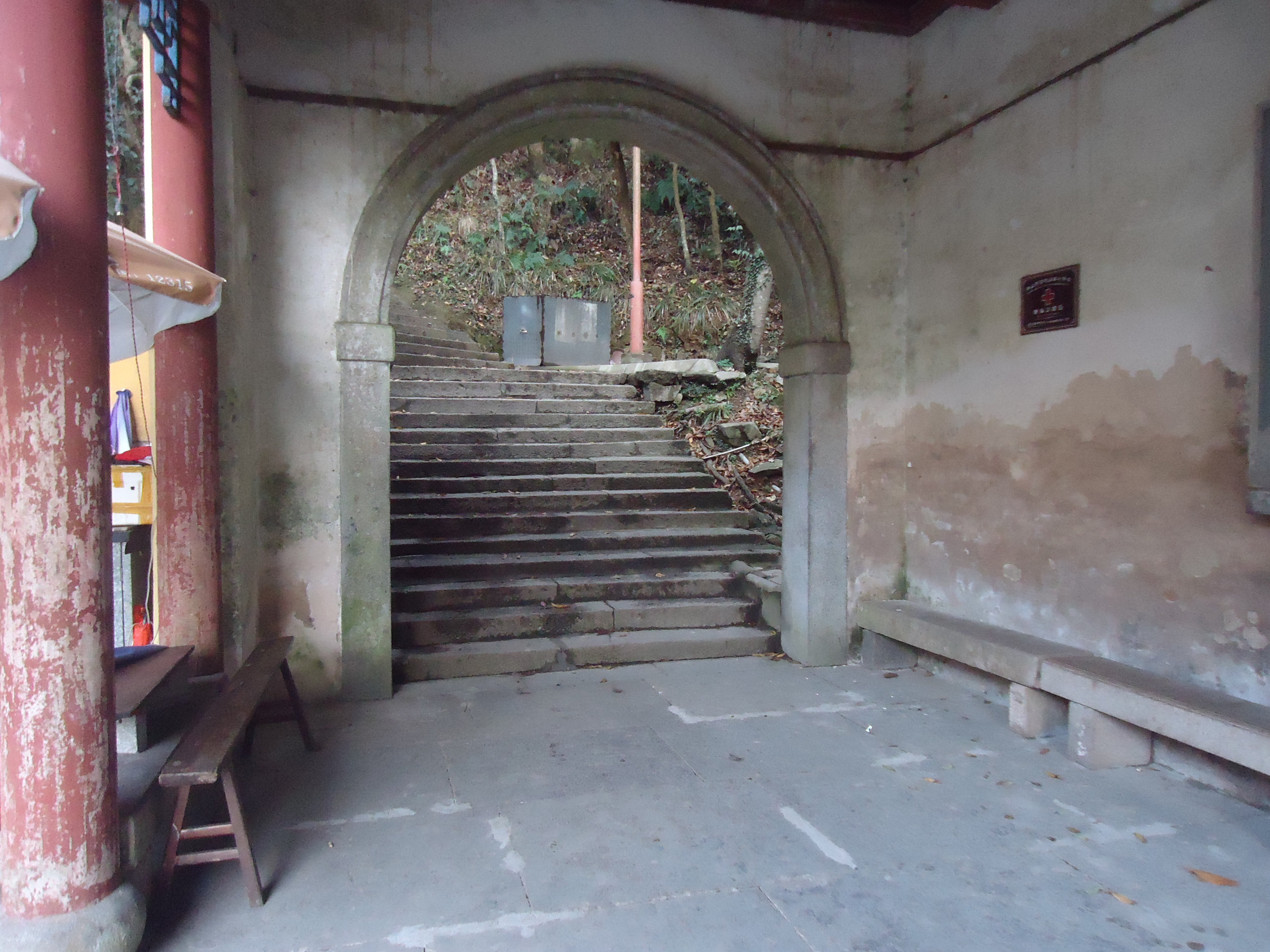 随手拍之普陀香云蓬