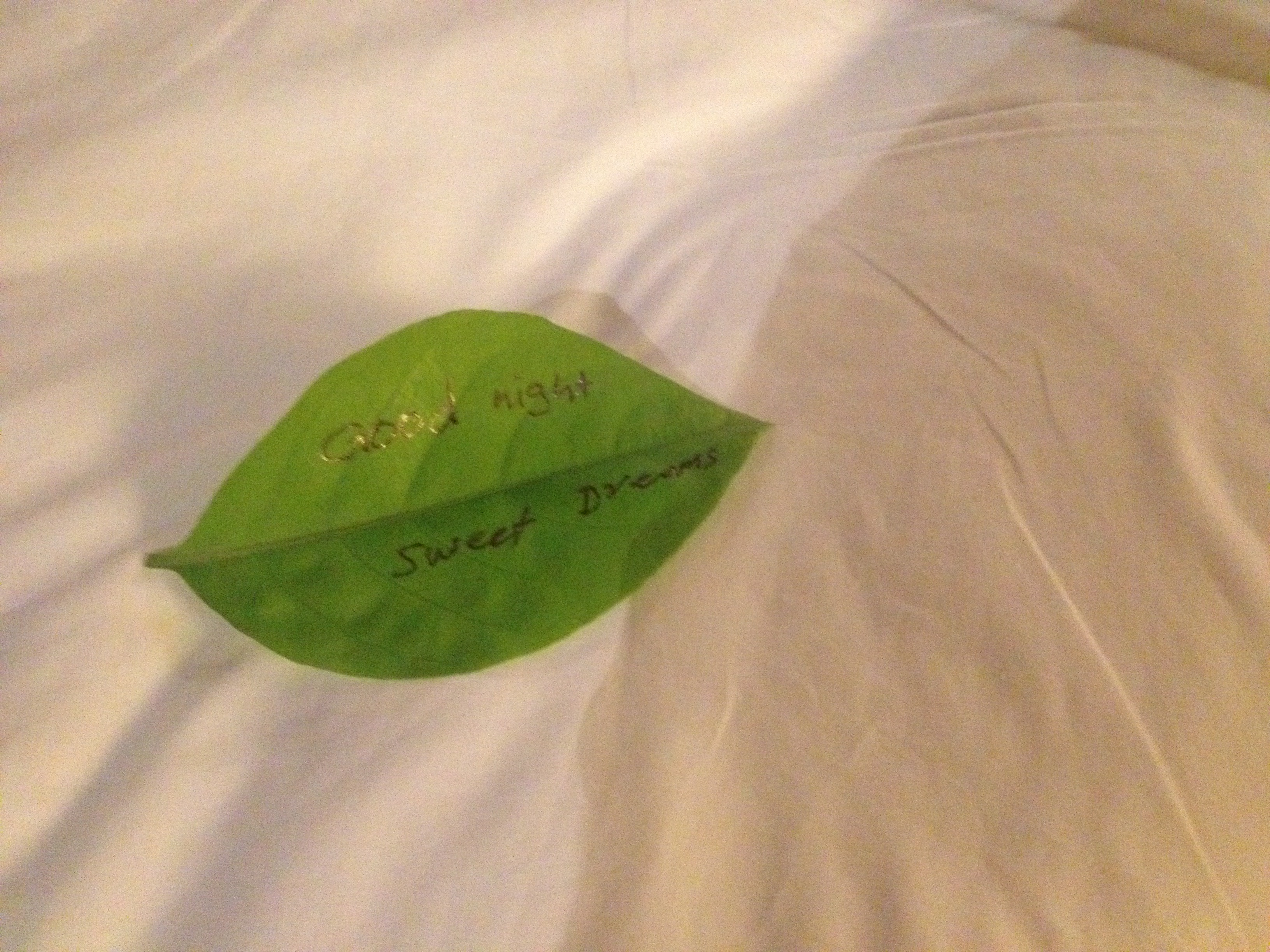 酒店夜床树叶花草布置图片