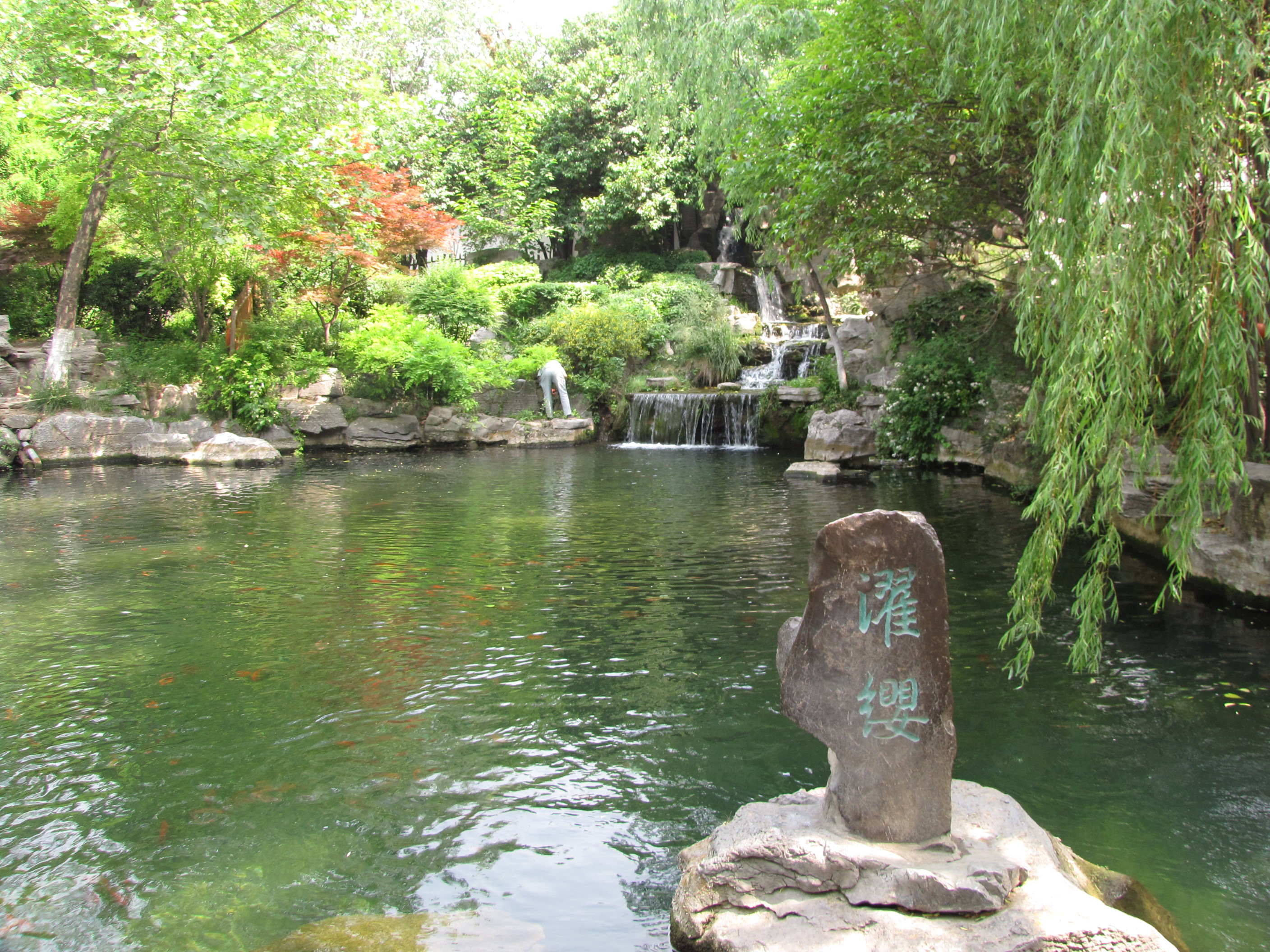 【携程攻略】昆明黑龙潭公园景点,有一个像趵突泉那样中间冒水的天然喷泉，水很清，那时候天气下着雨，…