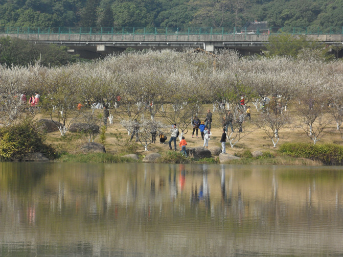 萝岗街道GDP_夜晚街道图片