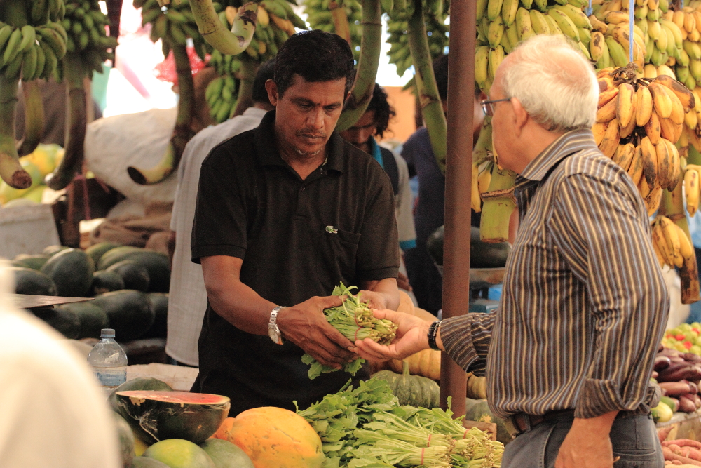 喜欢          引用到评论  市场中专注买卖的商人