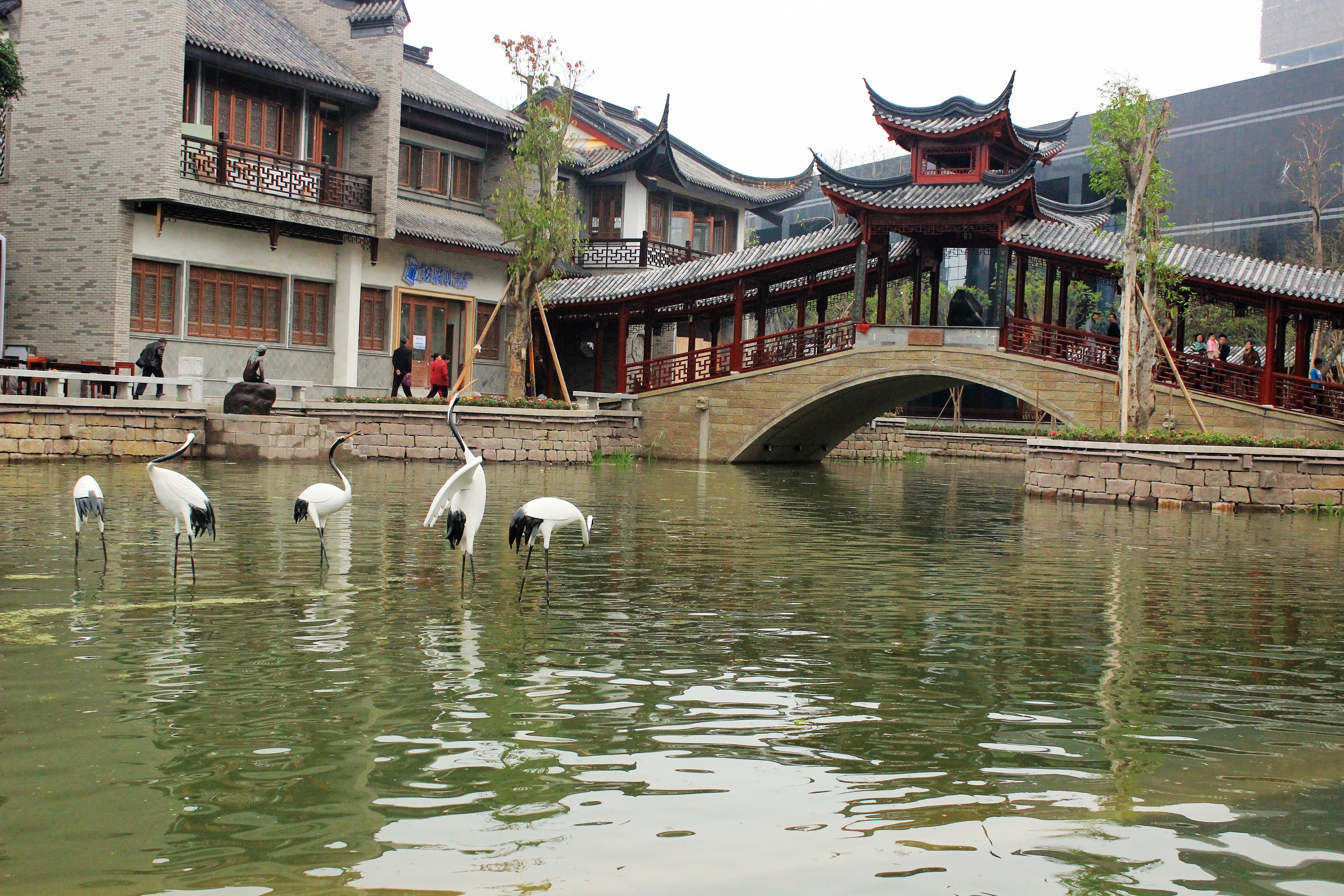 泸州市纳溪区龙湖水乡图片