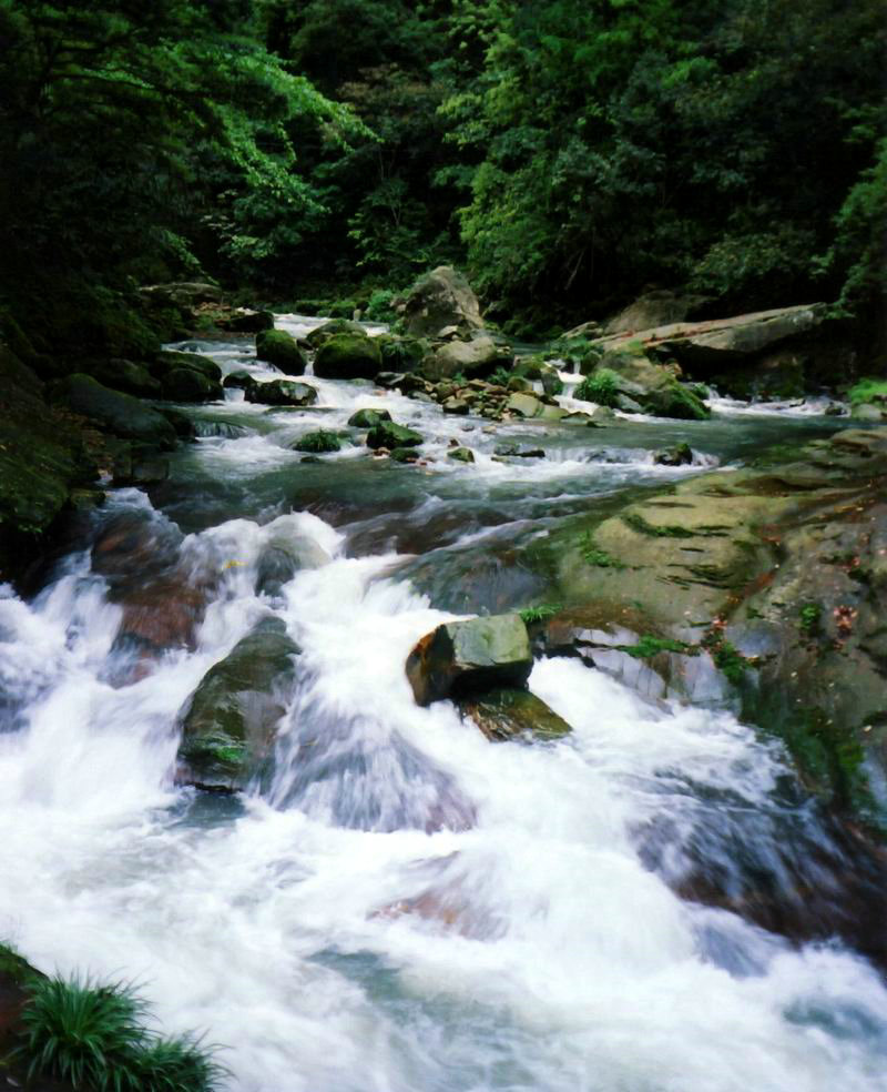 金鞭溪大峡谷