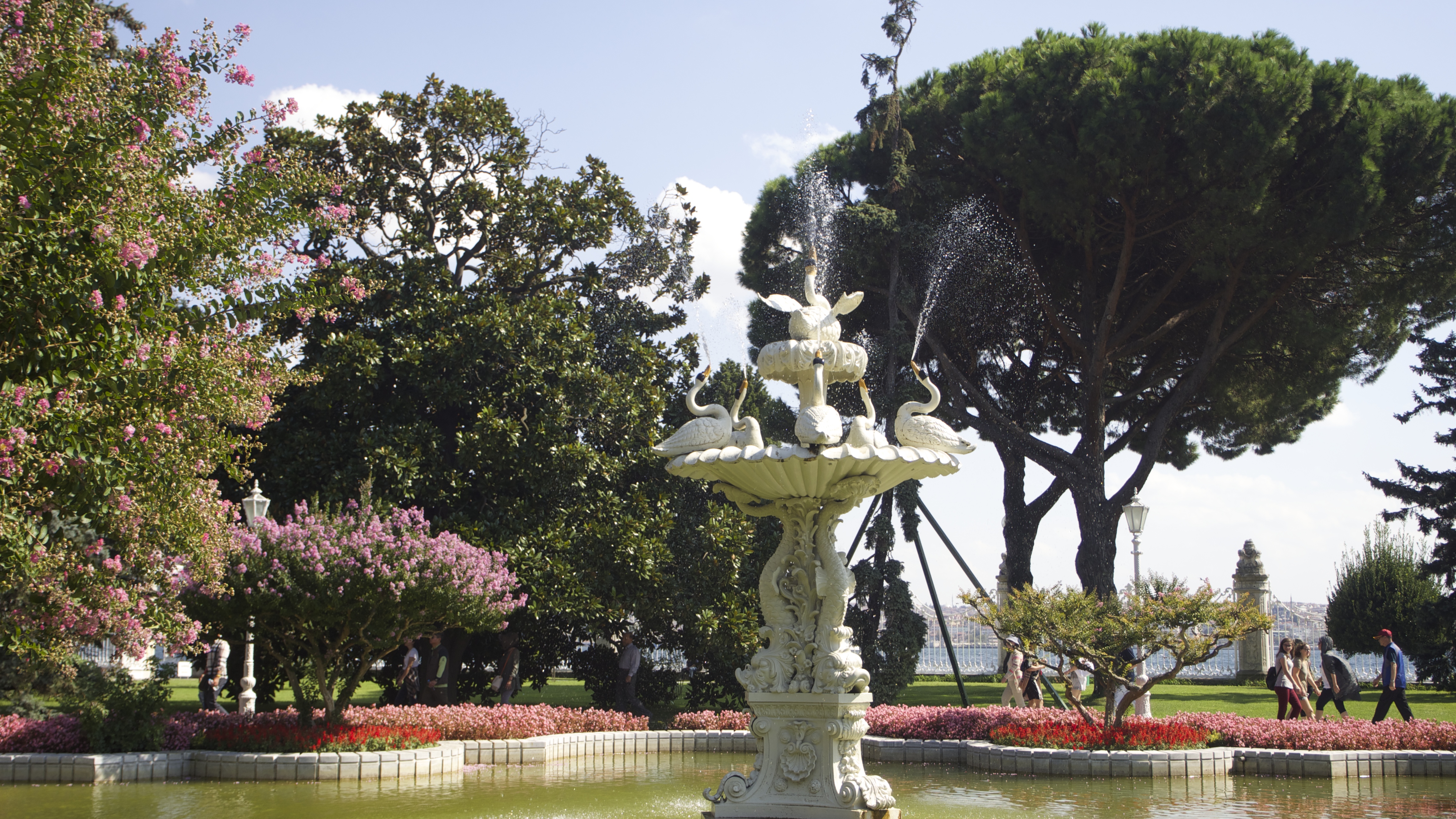              充满童趣的天鹅喷泉