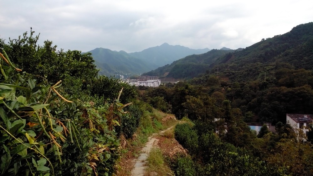 觀歙縣漁梁壩,村;夜逛徽州古城;深渡遊新安江山水畫廊奇遇;深渡及周邊