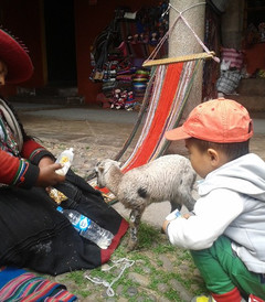 秘鲁旅游游记,秘鲁游记攻略,秘鲁精品\/热门\/最新