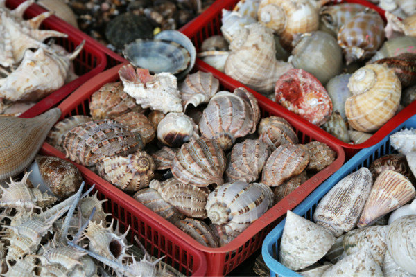 《海鲜天堂》越南岘港占婆岛游记(多图)