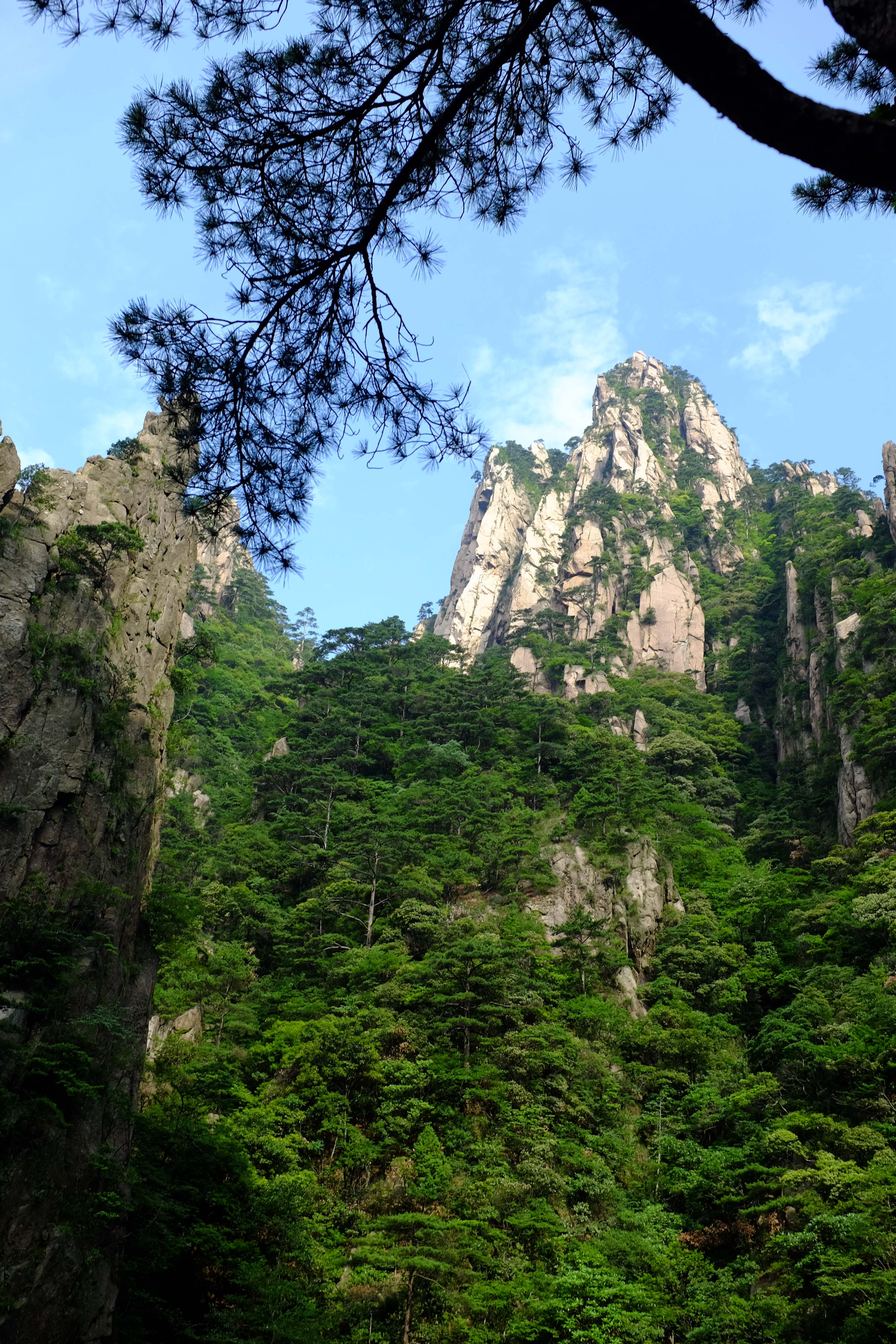 初夏6月黃山風景區3日遊,出行準備 注意事項 風景圖片大放送 - 安徽遊