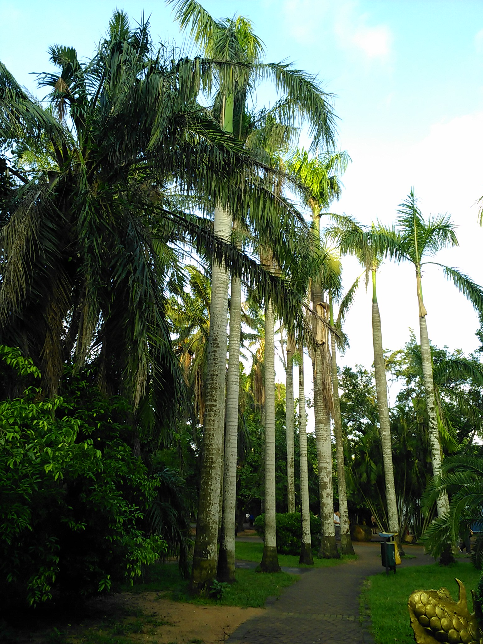 海口公园(海口公园有哪些)