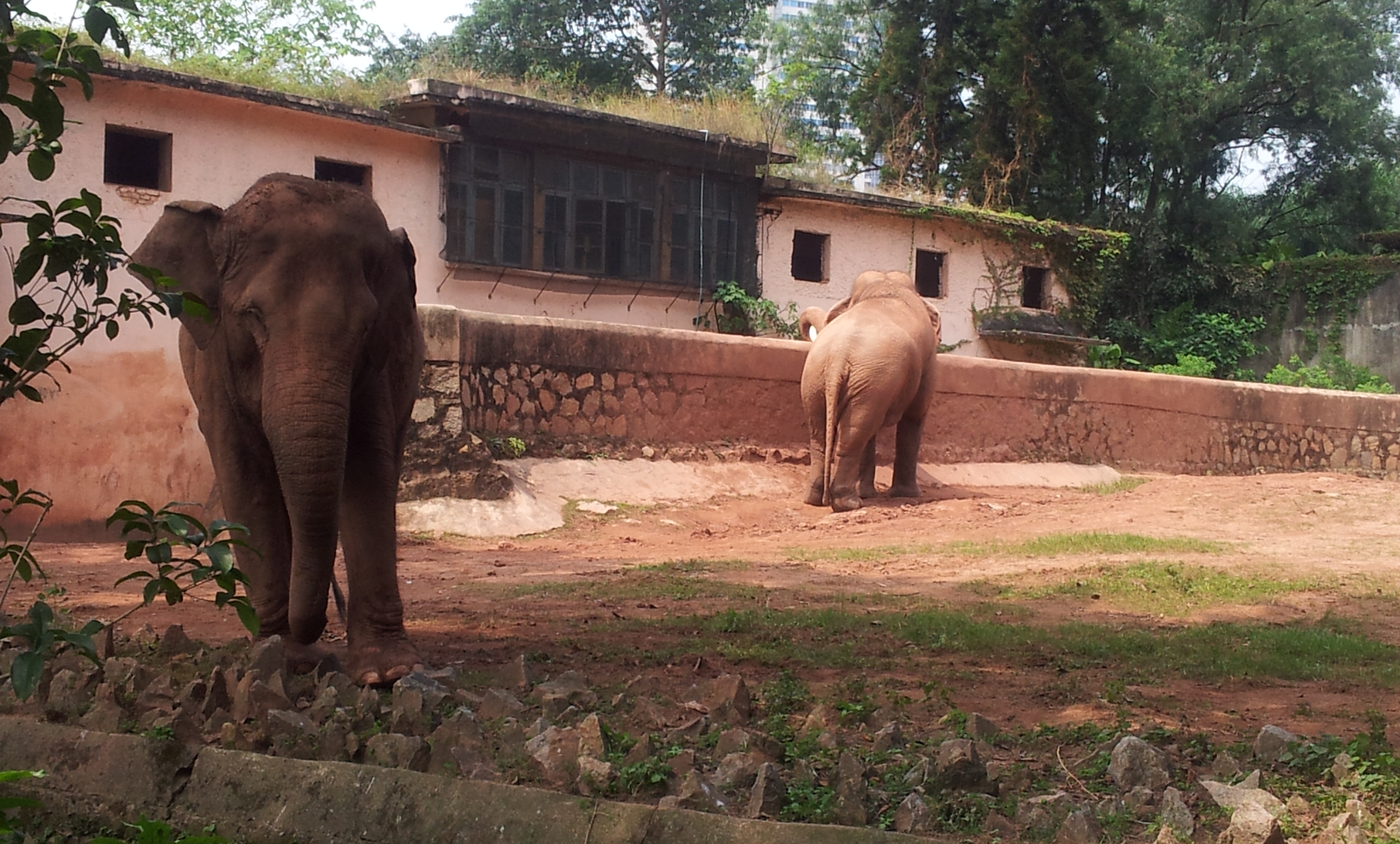 【攜程攻略】廣東廣州動物園適合家庭親子旅遊嗎,廣州動物園家庭親子