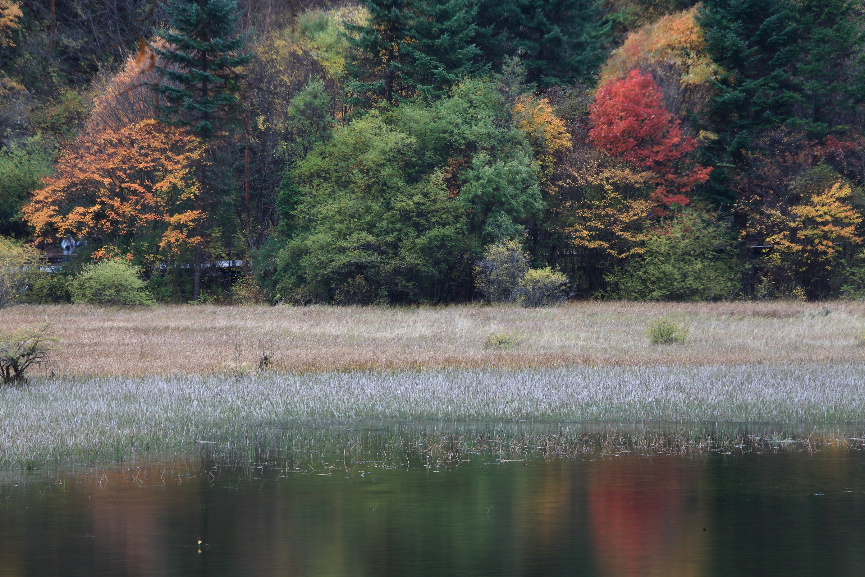 小组 游记小站 一叶扁舟1968(上海) 发表于2013-12-24 22:48举报 # 10