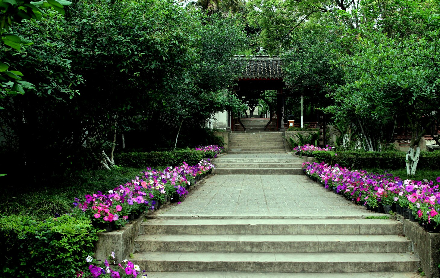 綿陽西山公園遊記