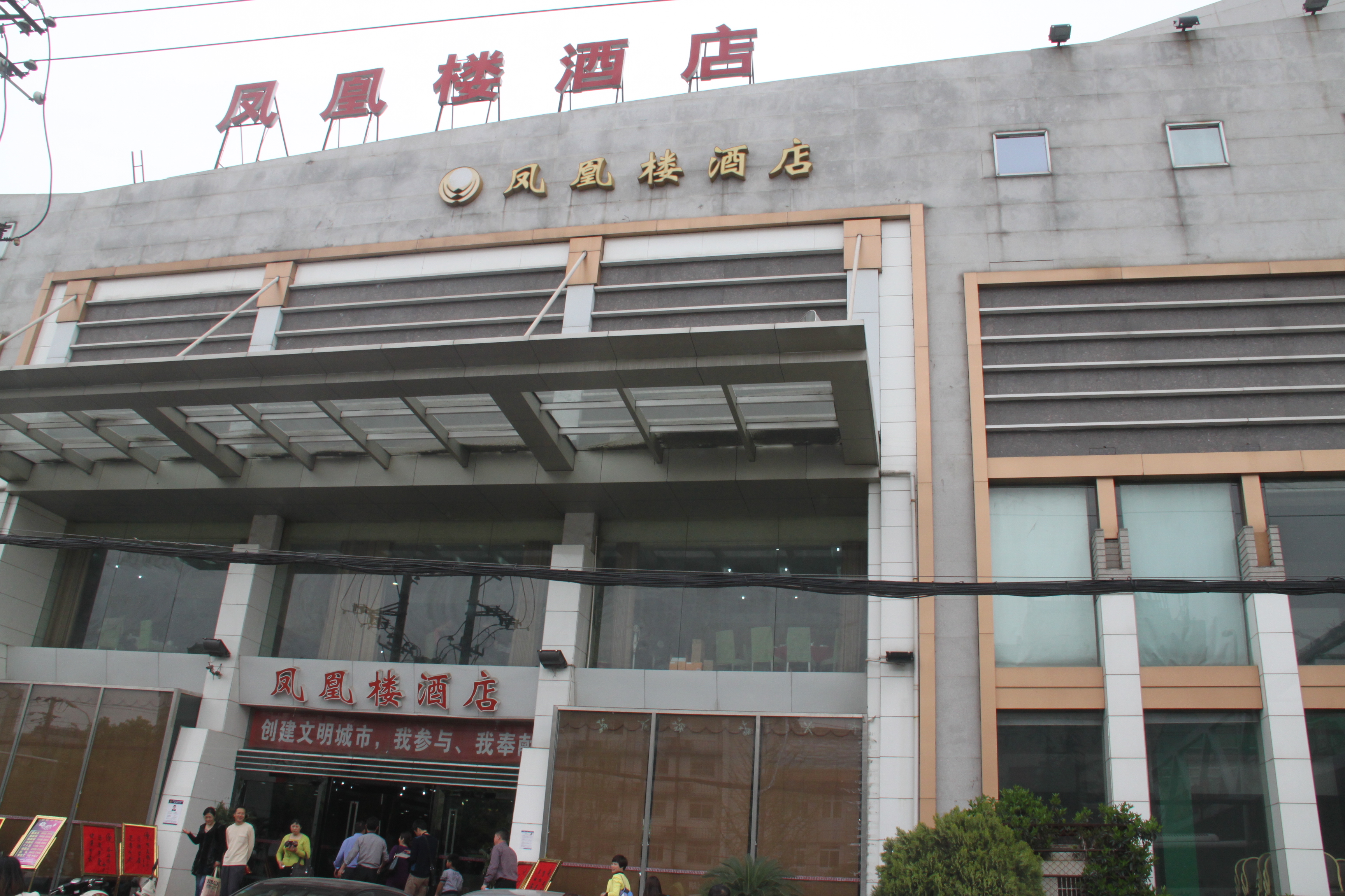 【加游站】一夜春风来,万树樱花开(武汉赏樱记)