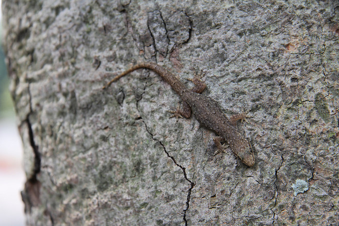 6b2c9ea34565445d93b4b91efbeb45c0_R_671_10000_Q90.jpg?proc=autoorient