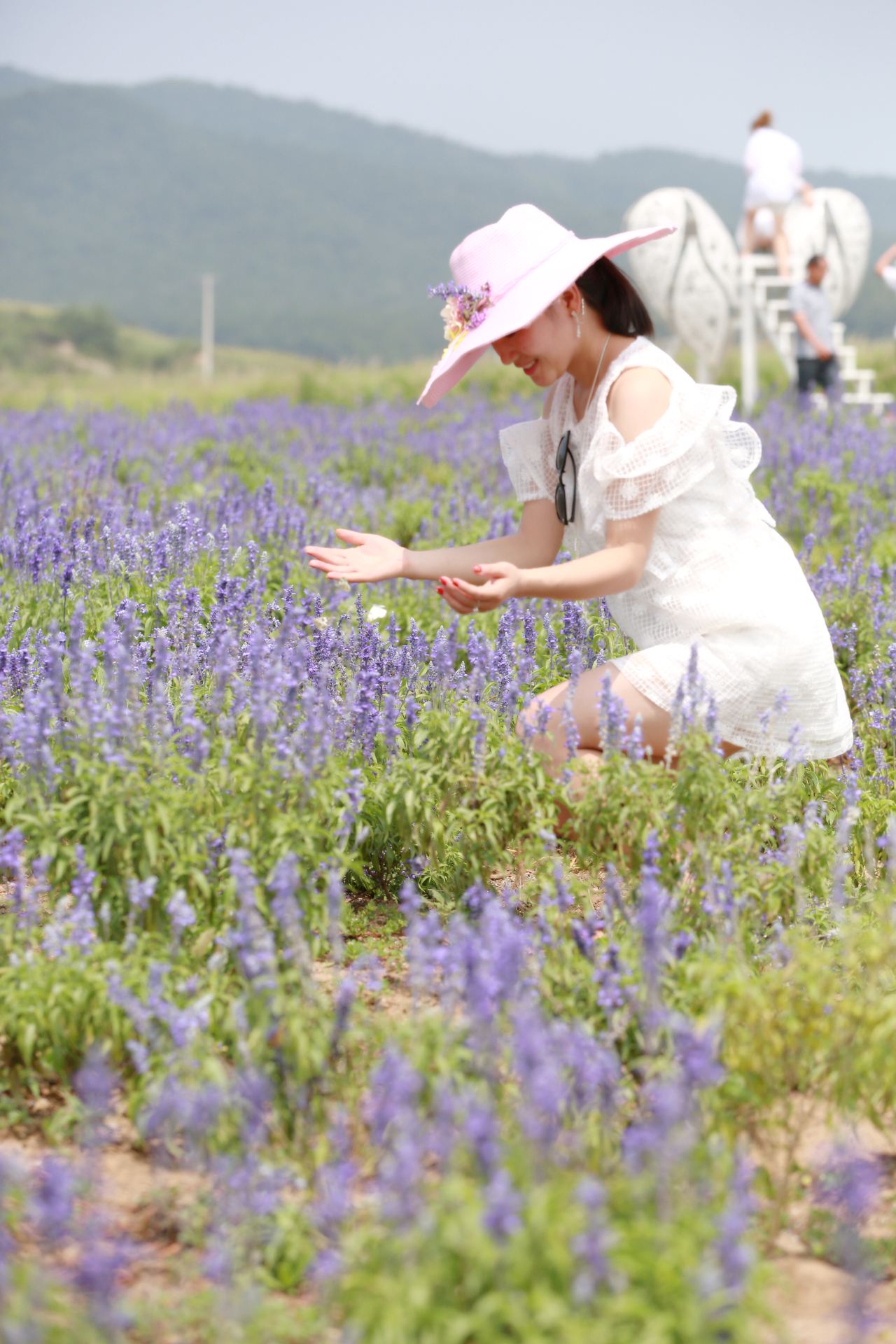 沈阳薰衣草庄园