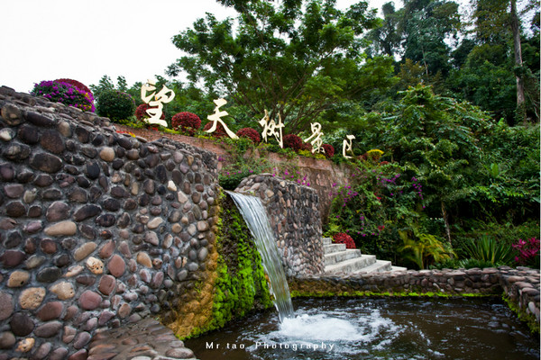 【攜程攻略】雲南西雙版納西雙版納熱帶雨林國家公園望天樹景區好玩嗎