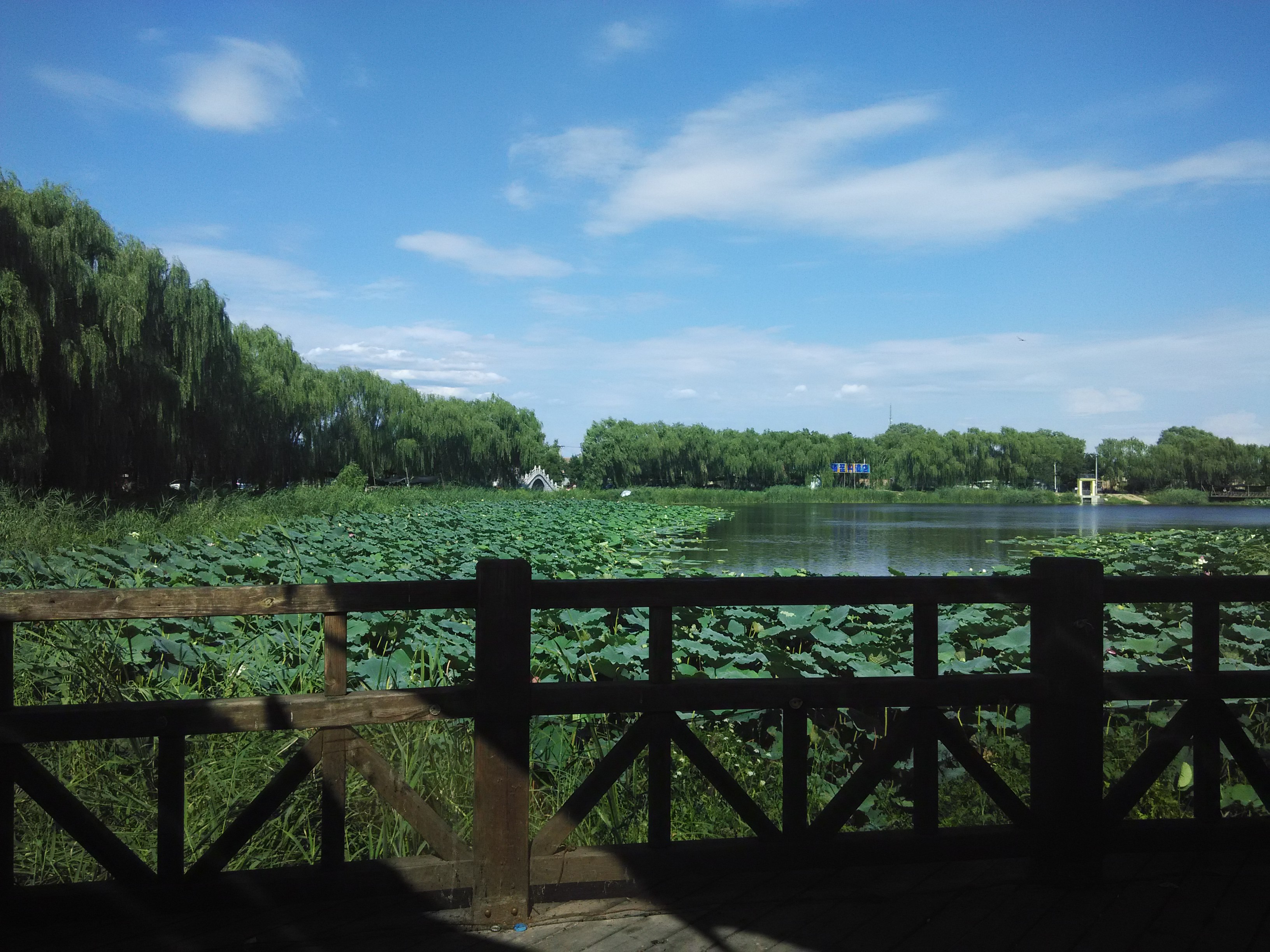 上庄水库湿地公园图片