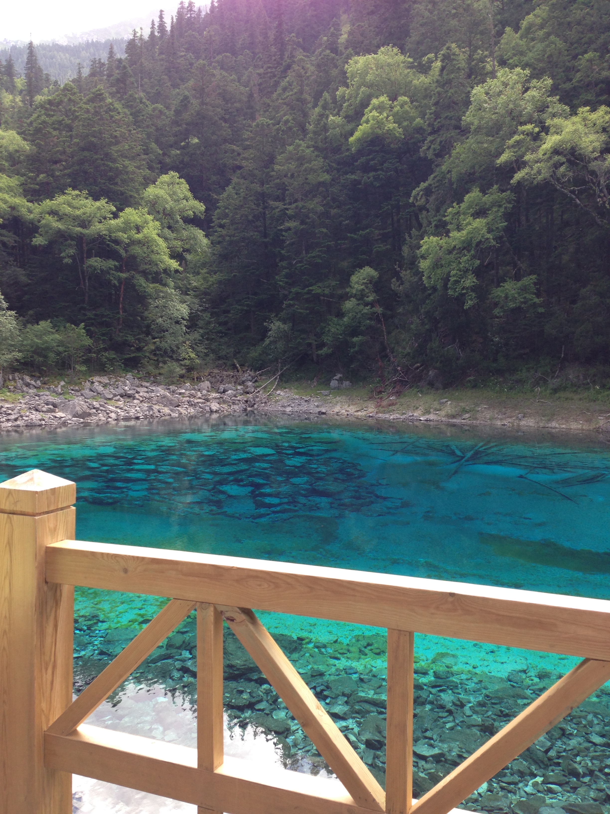 九寨沟风景区,四川九寨沟风景区攻略/地址/图片/门票【携程攻略】
