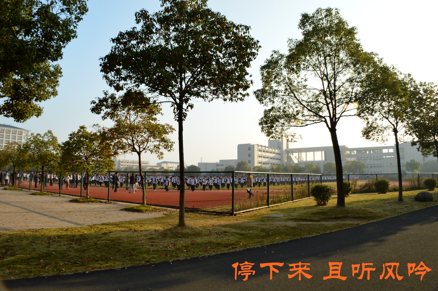 梦开始的地方——高淳区高级中学