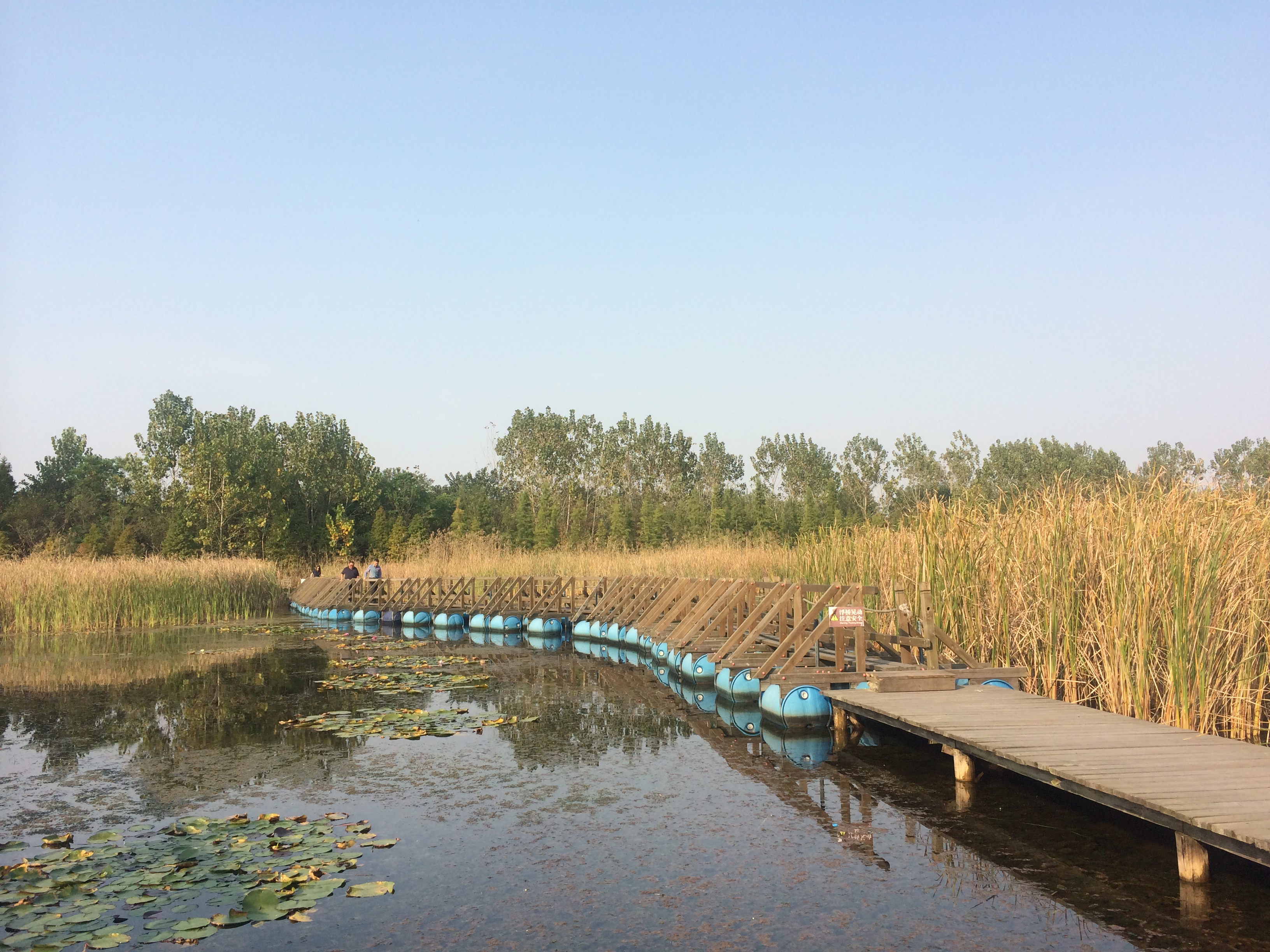 溱湖國家溼地公園