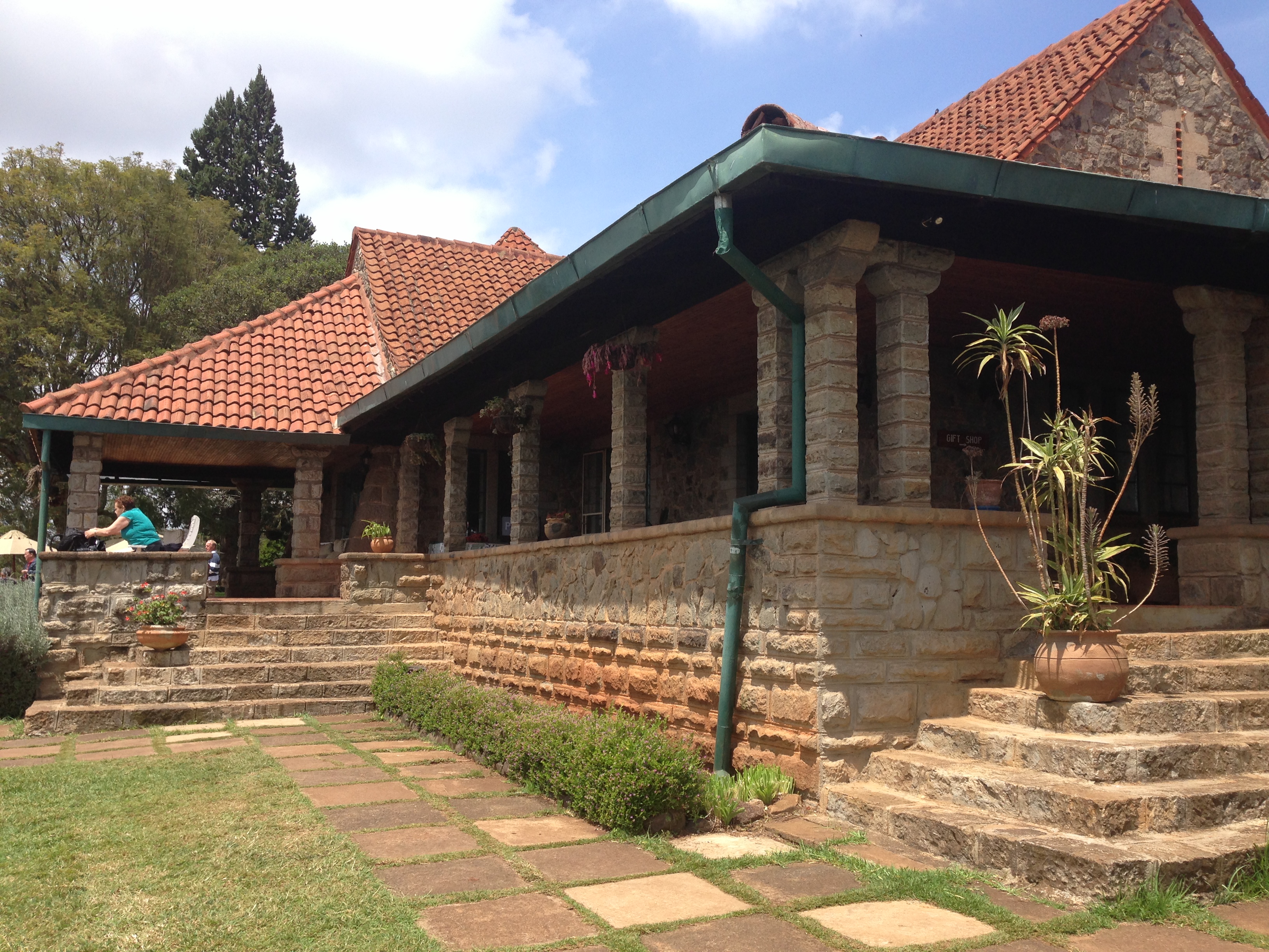 弱肉强食-非洲肯尼亚动物大迁徙