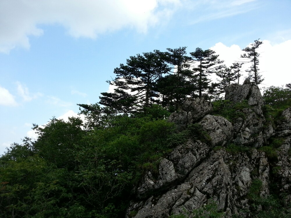 冬季是非常適合帶神農架旅遊的季節,這裡也是湖北省內著名的旅遊城市