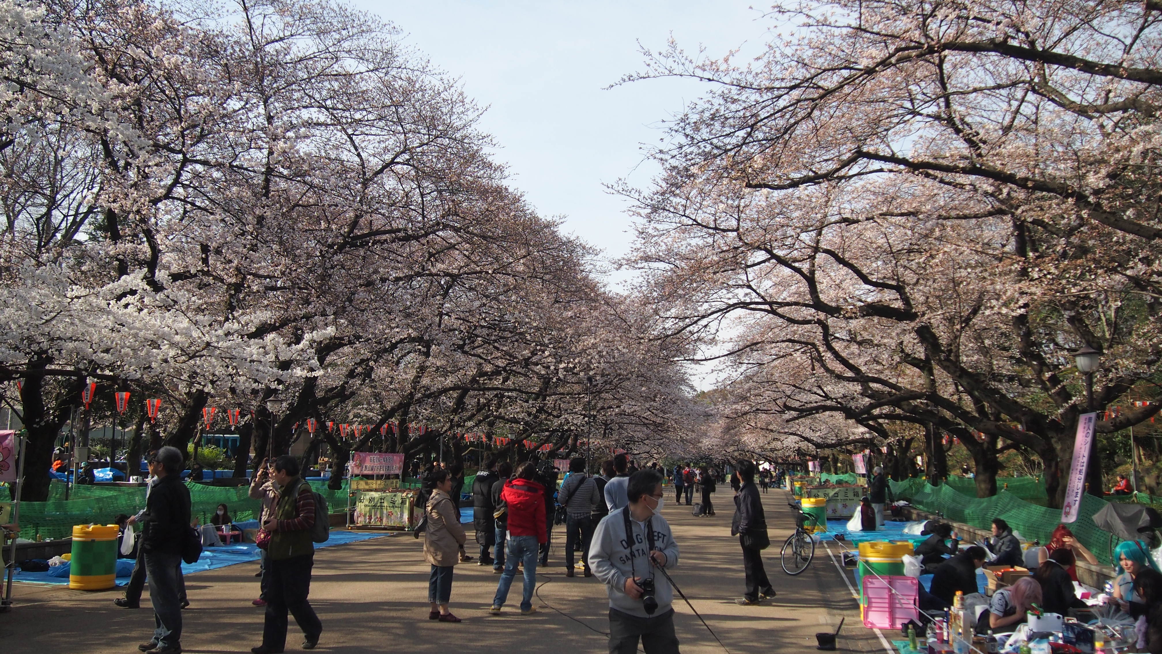 東京上野公園要門票嗎