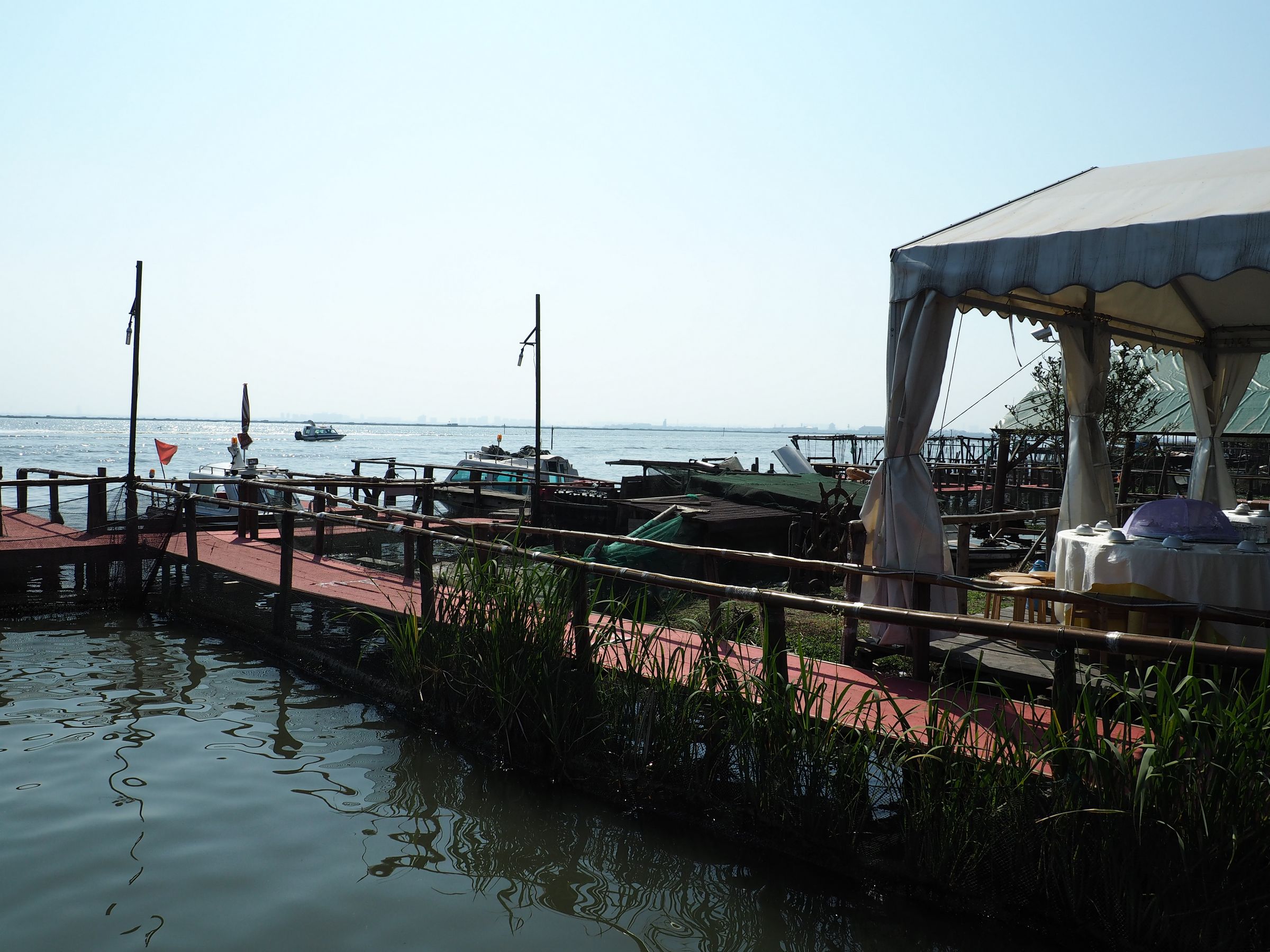 美食之旅·江蘇陽澄湖2日半自助遊·蟹逅蓮花島 饕餮大閘蟹