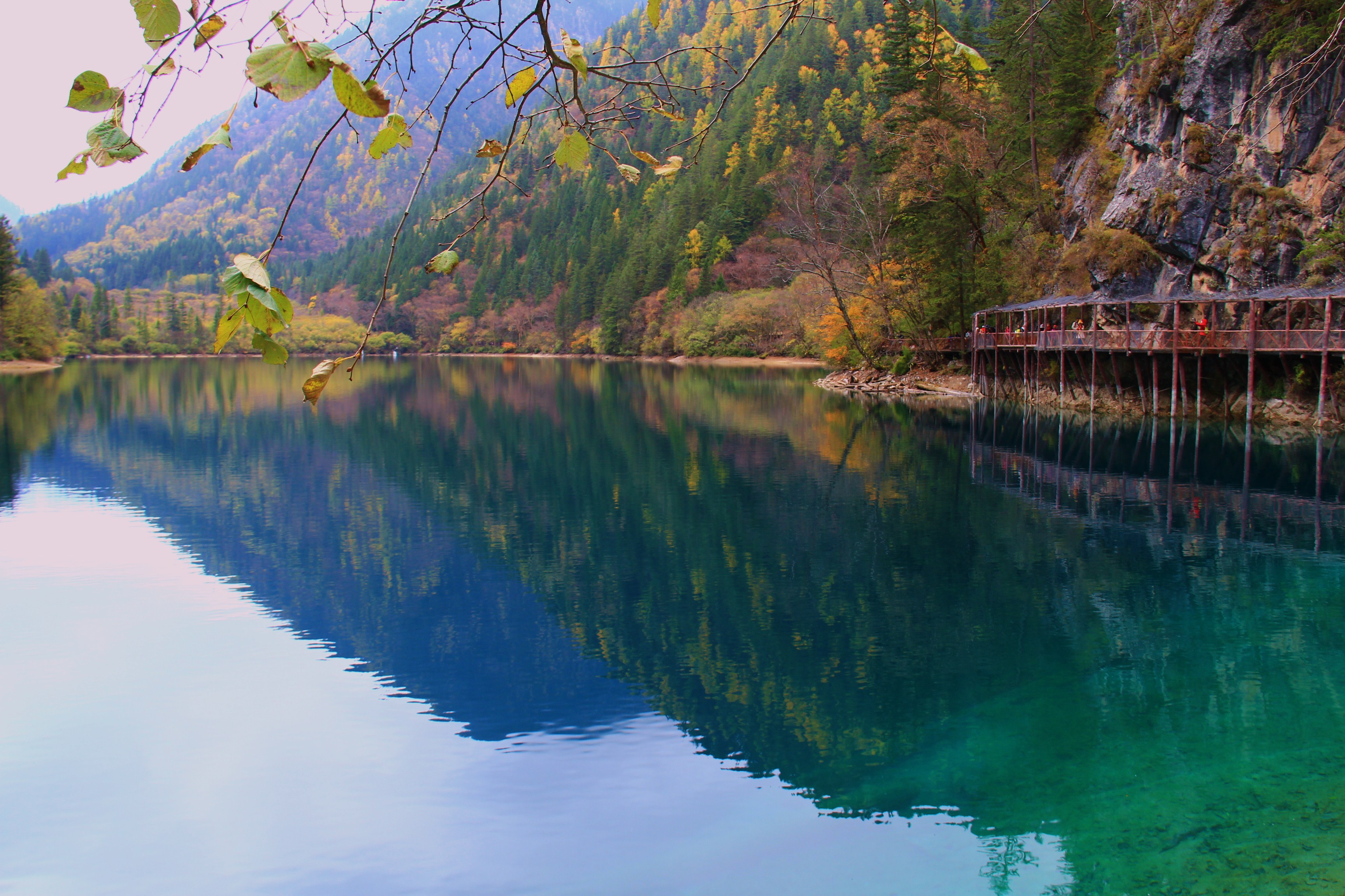 九寨沟——满足你对水的所有幻想