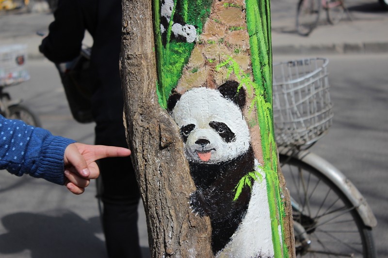 树洞画--石家庄有位叫王月的姐姐