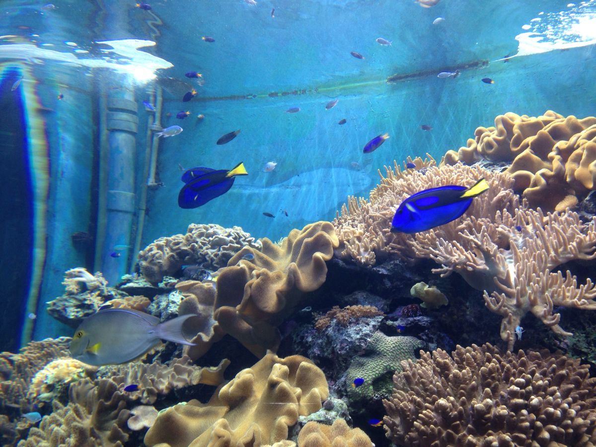 国立海洋生物博物馆