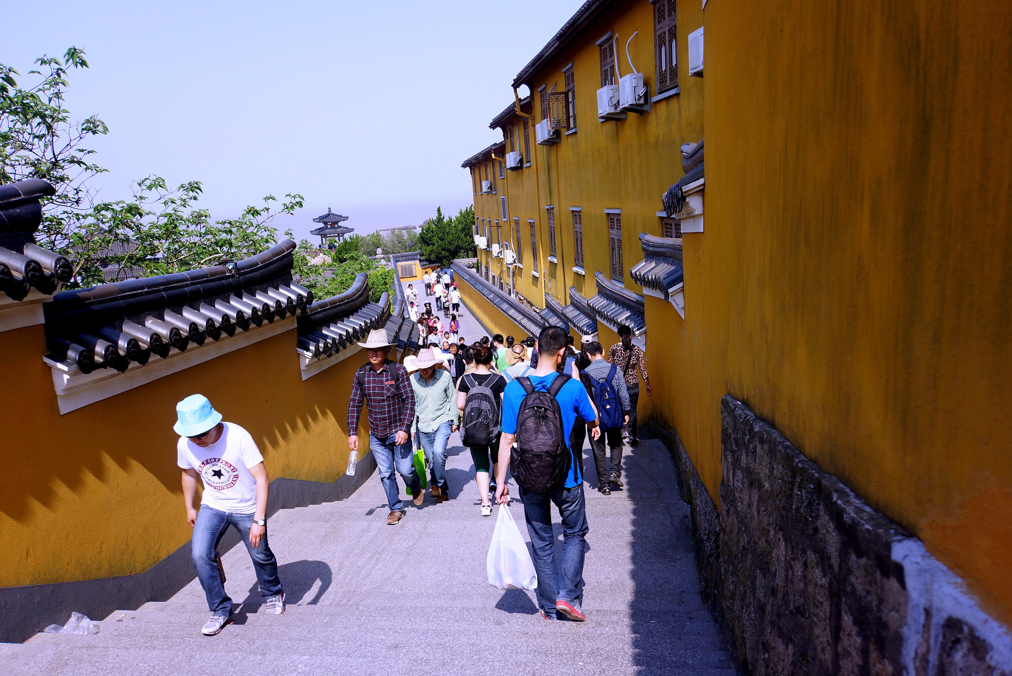 2019紫竹林-旅遊攻略-門票-地址-問答-遊記點評,普陀山旅遊旅遊景點