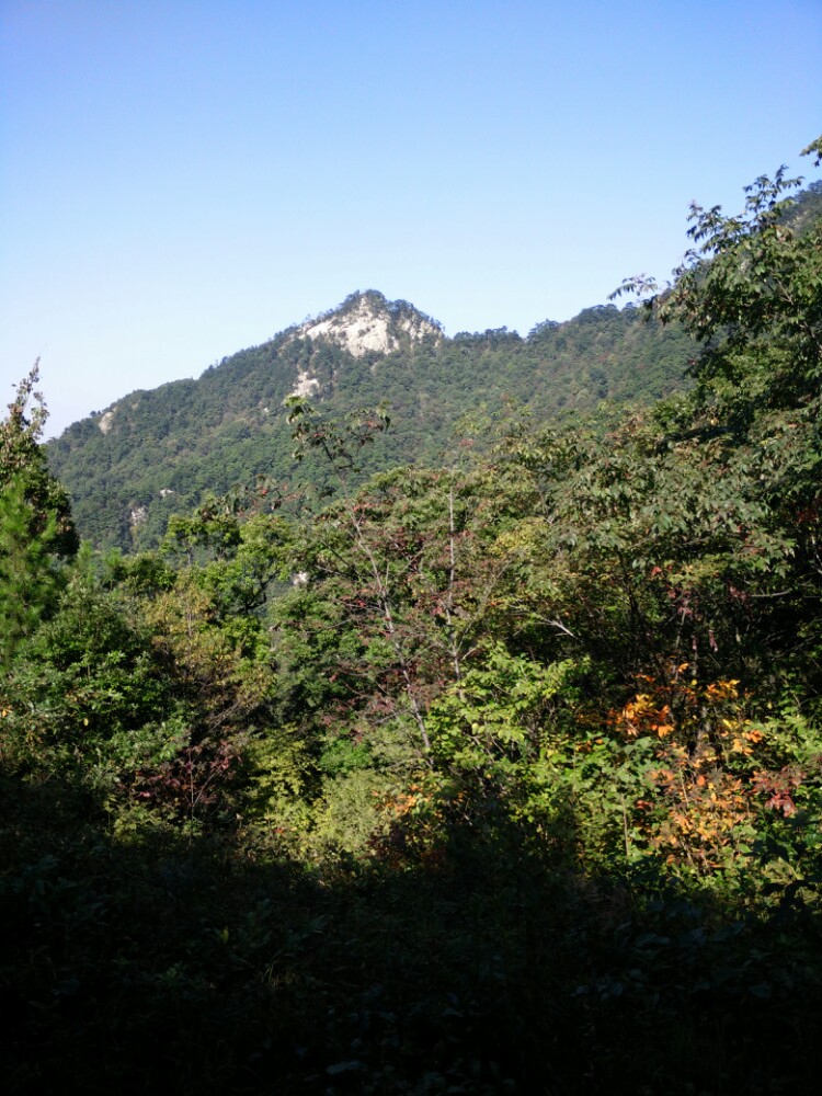 大別山主峰景區白馬尖