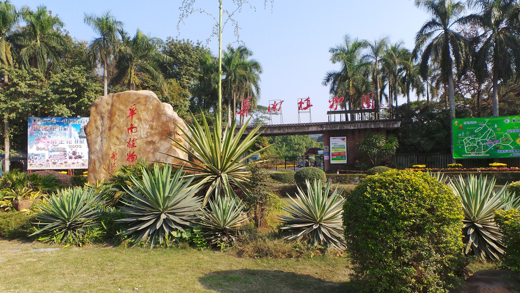 廣州華南植物園 – 冬日凋零的美