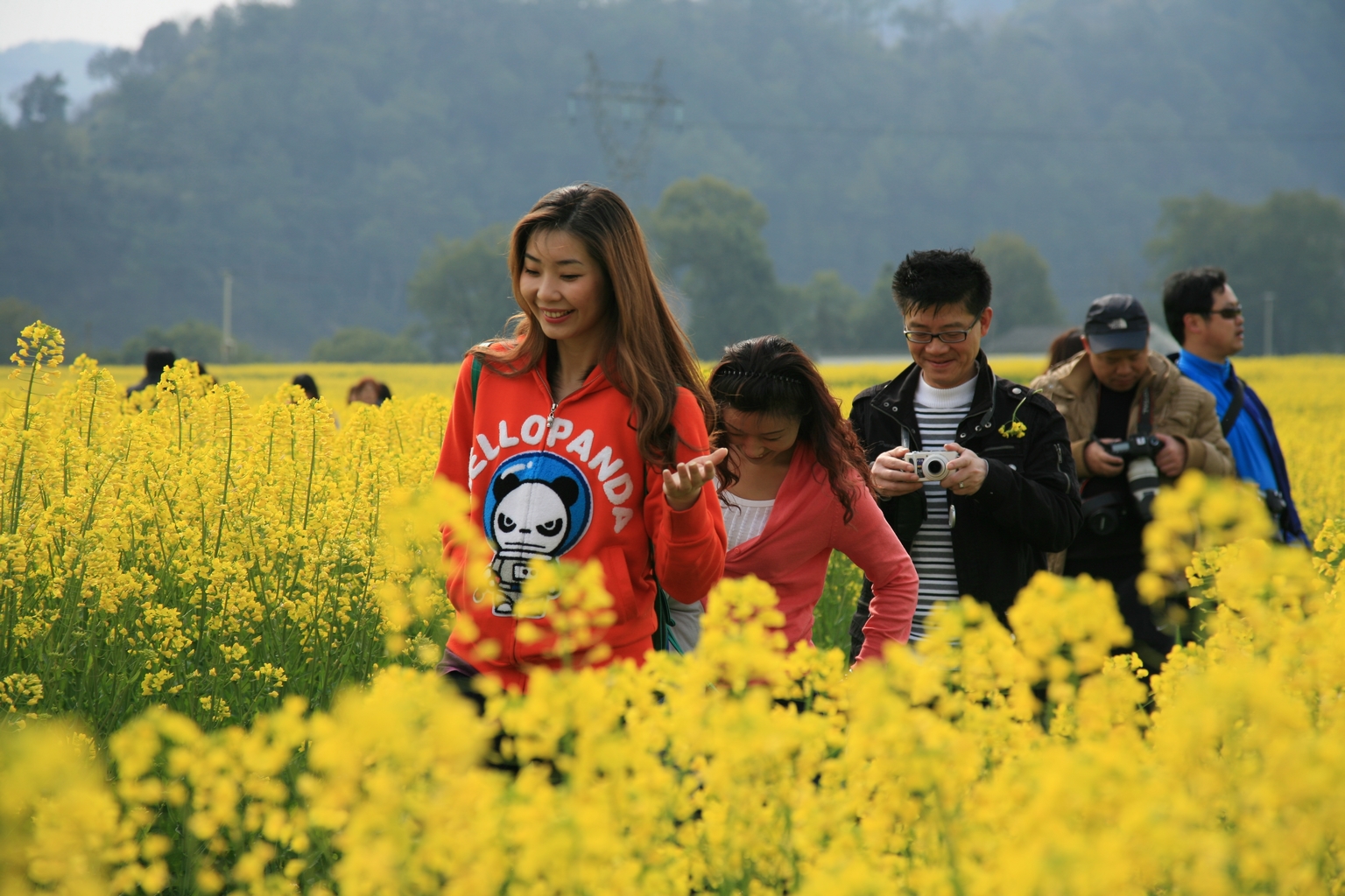 徒步泛舟新安江,油菜花里做花痴