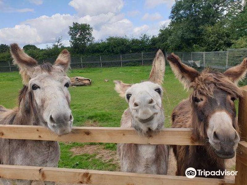 寇比纽汉姆newham grange farm游玩攻略-newham grange farm门票多少