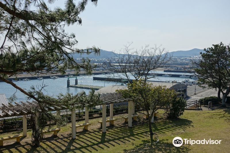 Makurazaki Fish Market