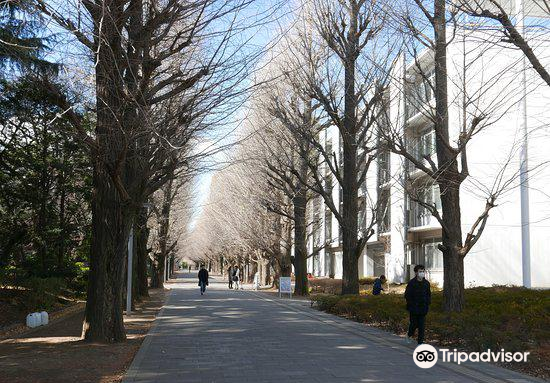 驹场博物馆   分 2条点评 博物馆 展馆展览 距景点392m