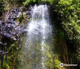 Waterfalls Inn Tigoni
