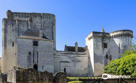 Details about   Cpsm 37150 La Cross IN Touraine The Castle Of La Hercerie Edit Artaud 