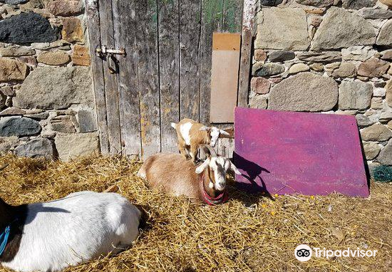 wild things petting farm 农场 距景点5.4km