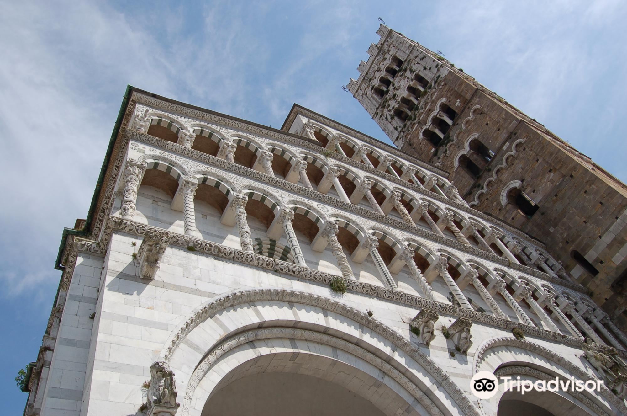 卢卡圣马丁大教堂