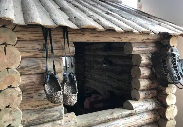 Chebarkulsky District