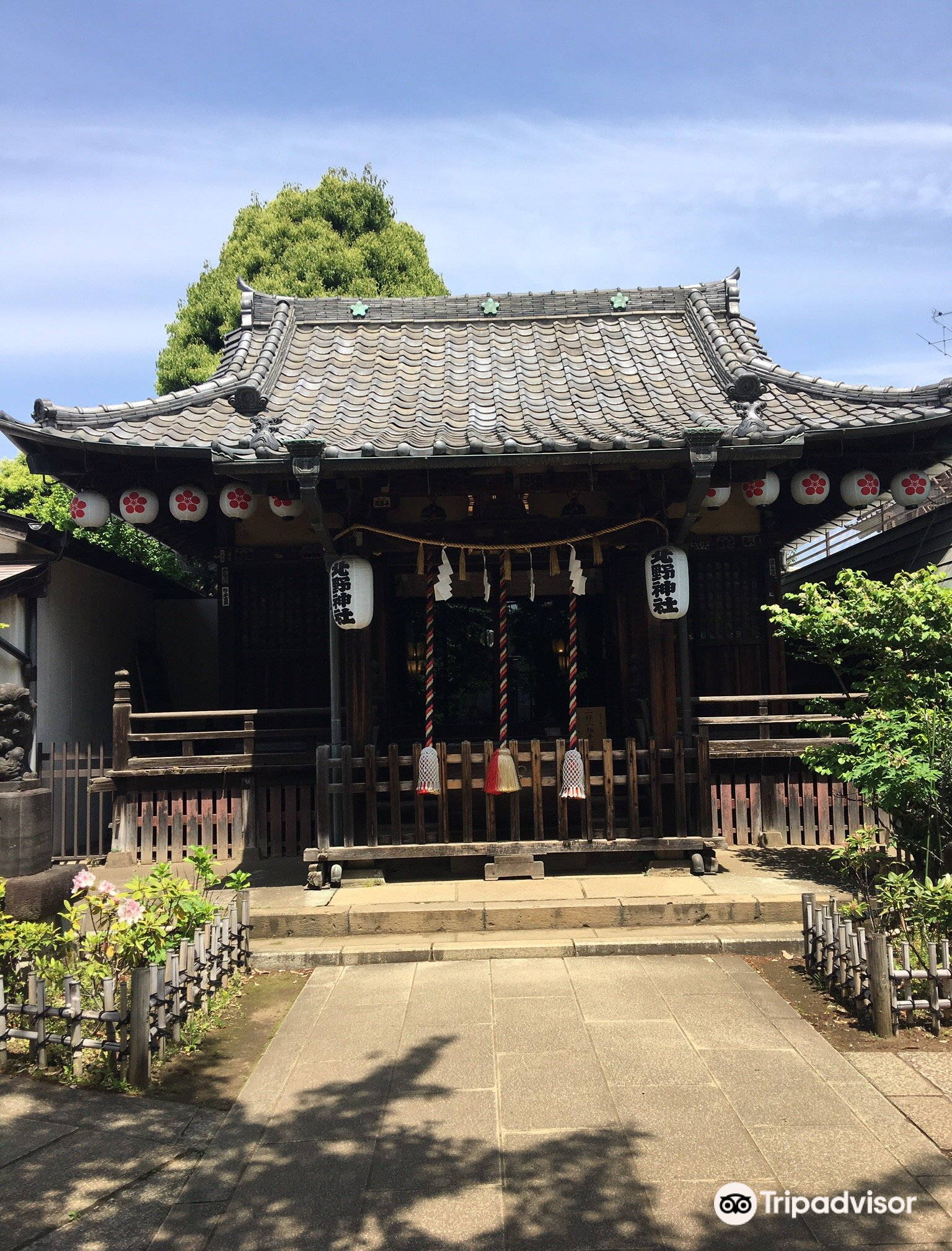 新井药师神社图片