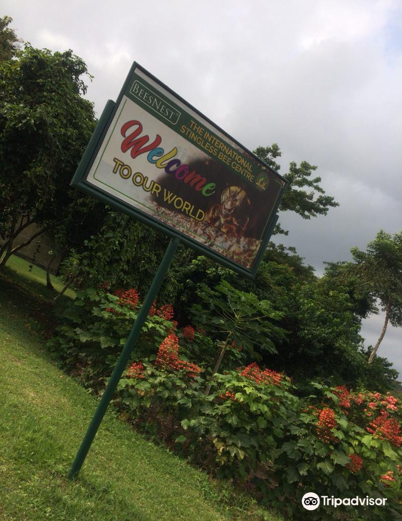 international stingless bee centre 直线距离11.3km