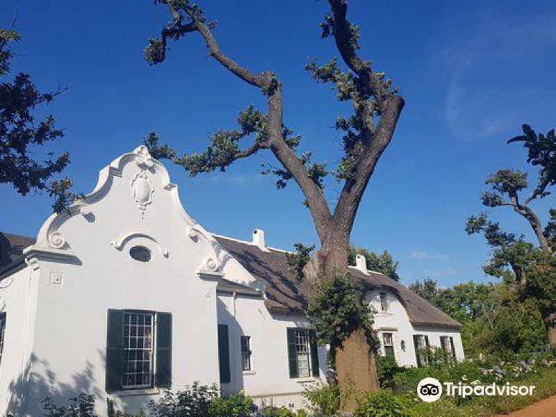 anthonijrupertwyneestateterradelcapotastingroom