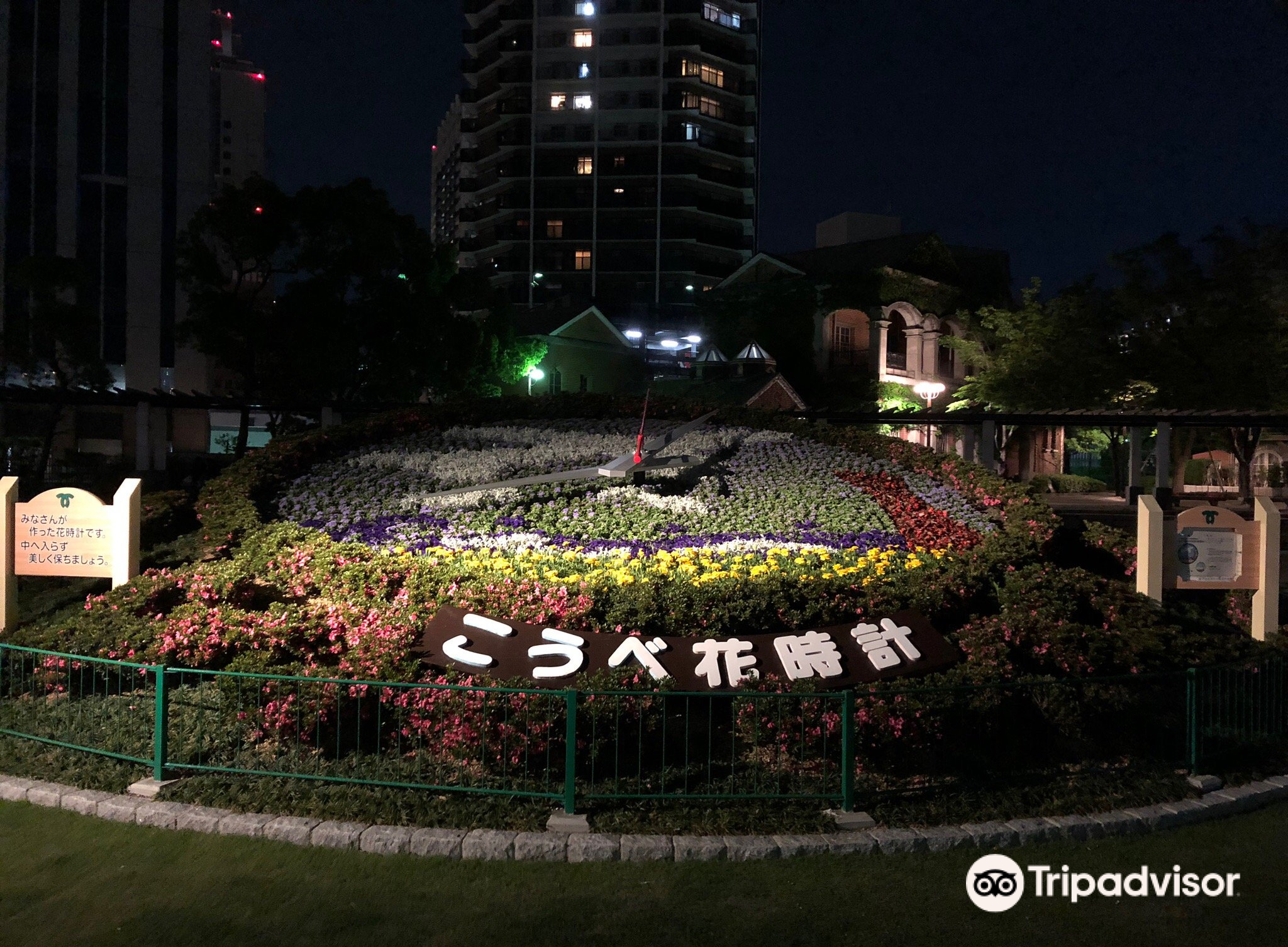 神户市政厅观景台图片