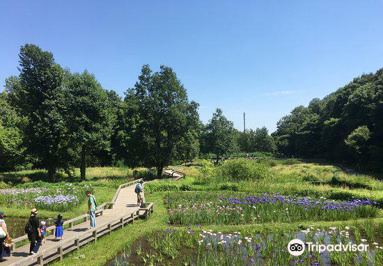 调布市神代植物公园游玩攻略 神代植物公园门票多少钱 价格表 团购票价预定优惠 景点地址在哪里 图片介绍 参观预约 旅游游览顺序攻略及注意事项 营业时间 携程攻略