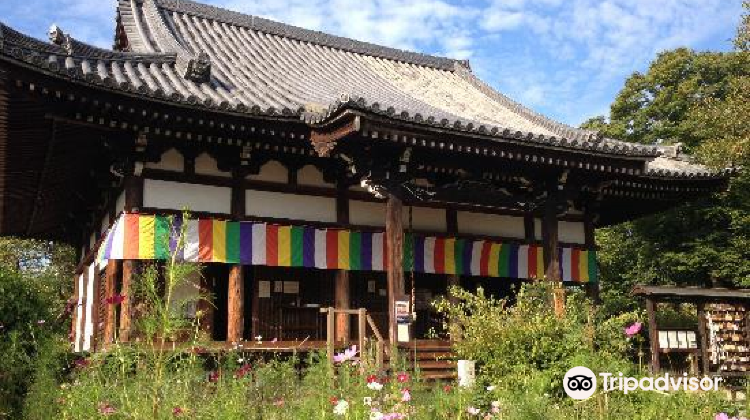 奈良县般若寺攻略-般若寺门票价格多少钱-团购票价预定优惠-景点地址