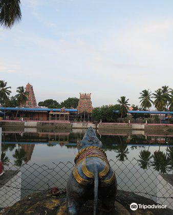 Hotels in Karaikkudi